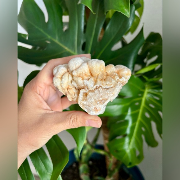 Aragonite From Morocco - Picture 3 of 4